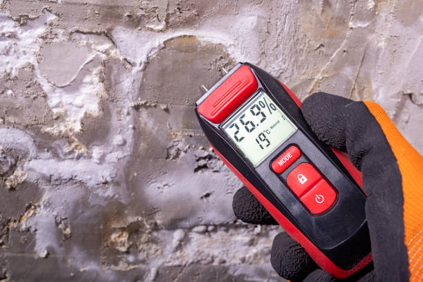 Best Fast Mold Removal  in Cockeysville, MD